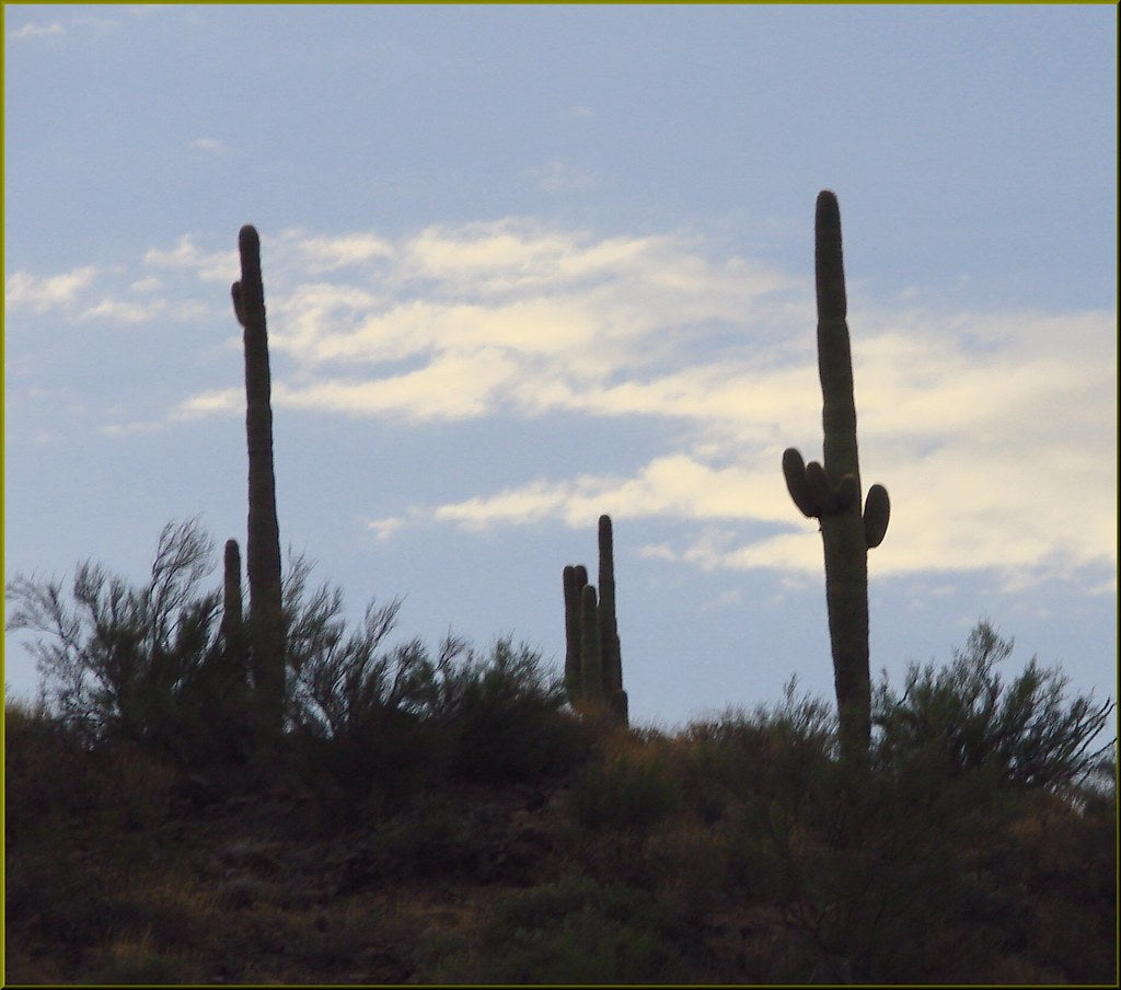 Are Train Horns Legal in Arizona? ARS §28-954 and What 'Good Working Order' Means