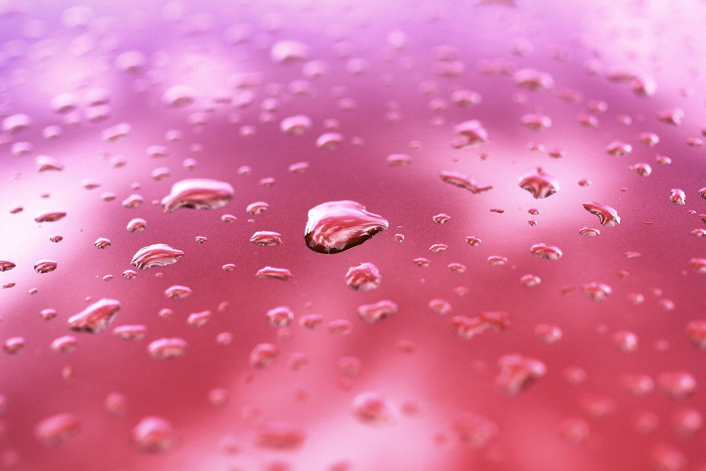 Are Battery Train Horns Waterproof? Real-World Water Resistance and How to Protect Yours