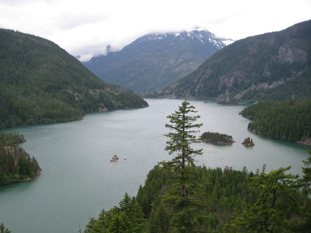 Are Train Horns Legal in Washington State? RCW 46.37.380 and the 200-Foot Audibility Rule